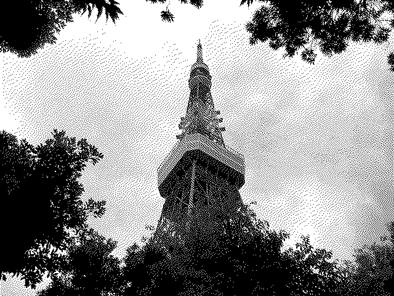 Tokyo Tower through the trees