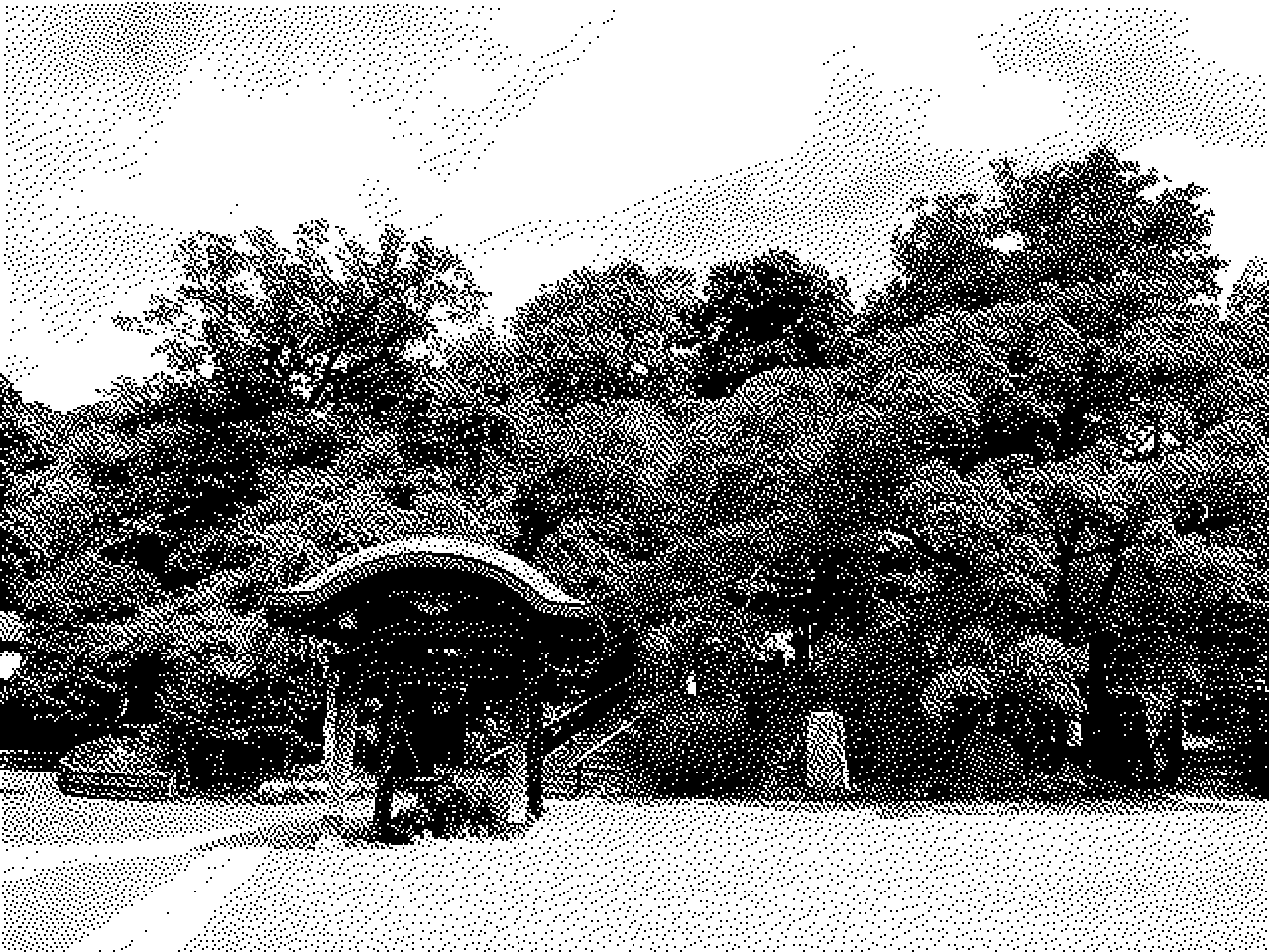 Jindai-ji temple grounds