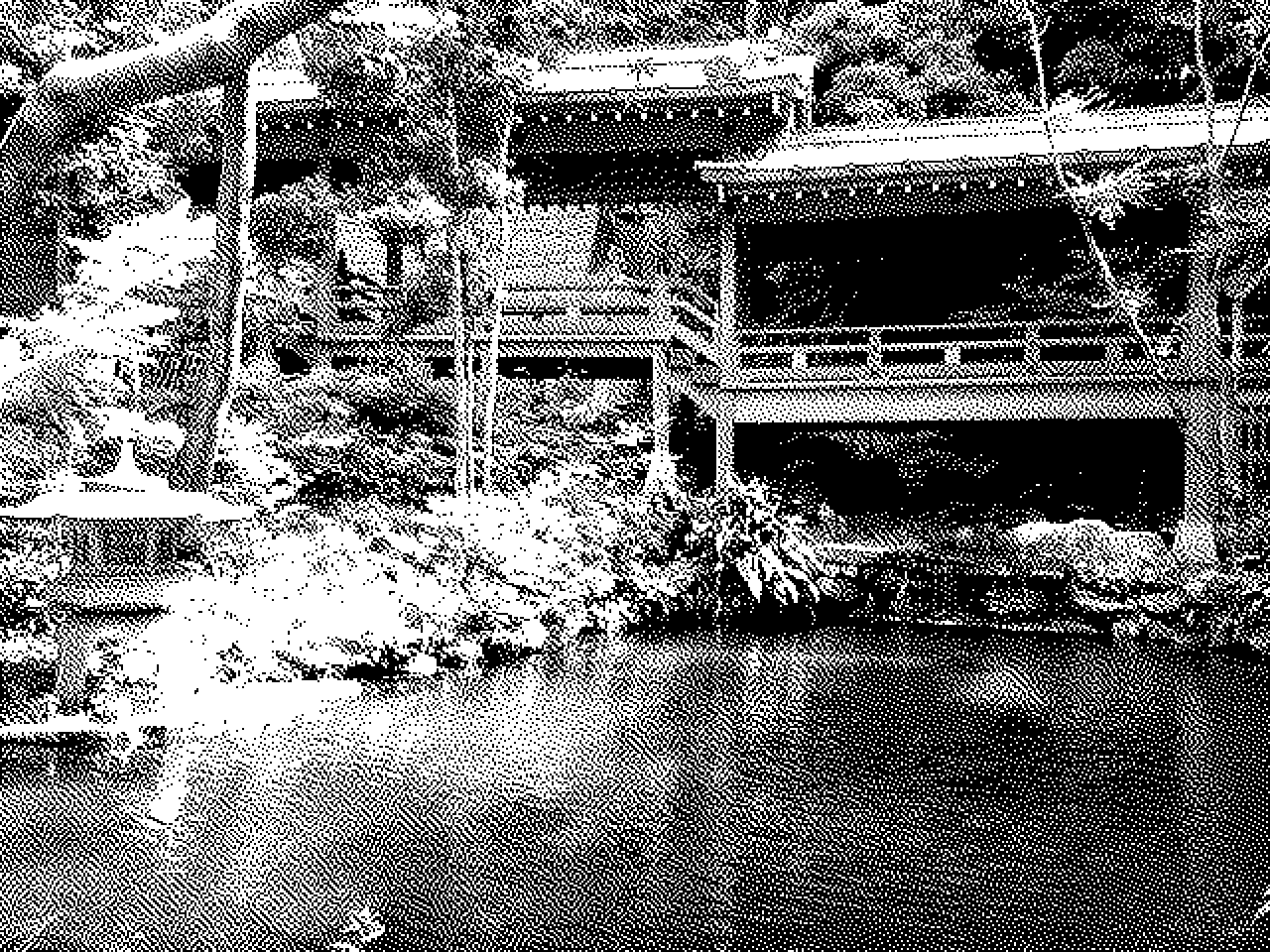 Jindai-ji pond