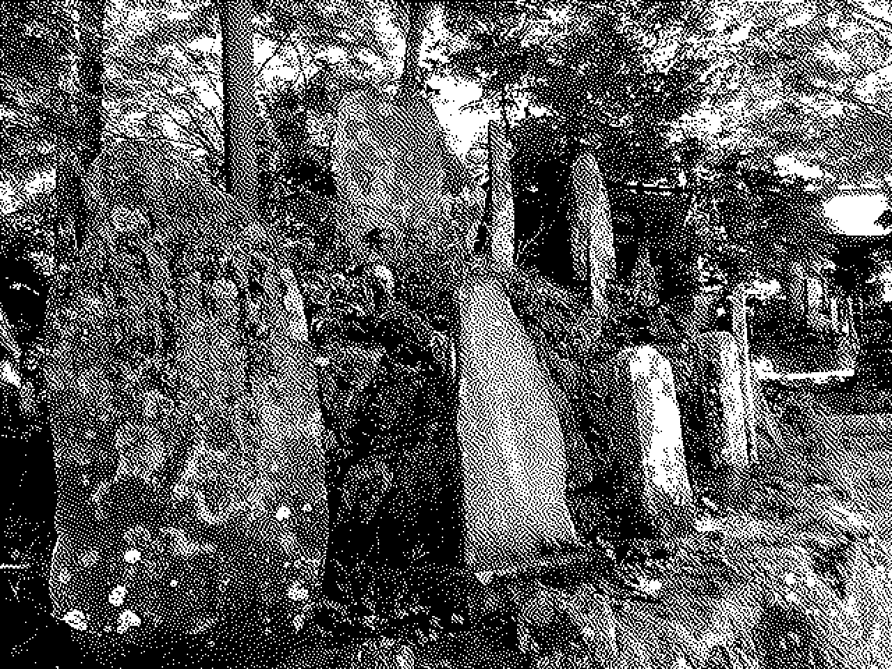 Grave stones along the path to the shrine