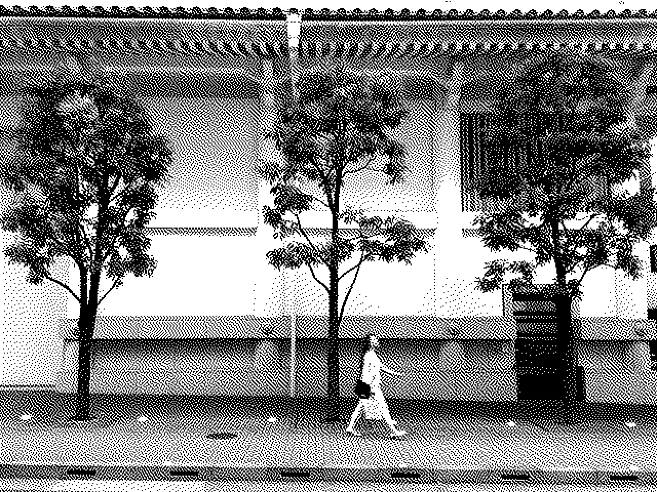 Three beautiful trees outside of Kabuki-za