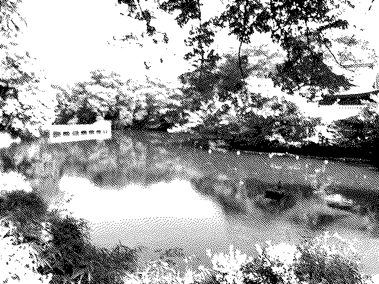 Inokashira Pond