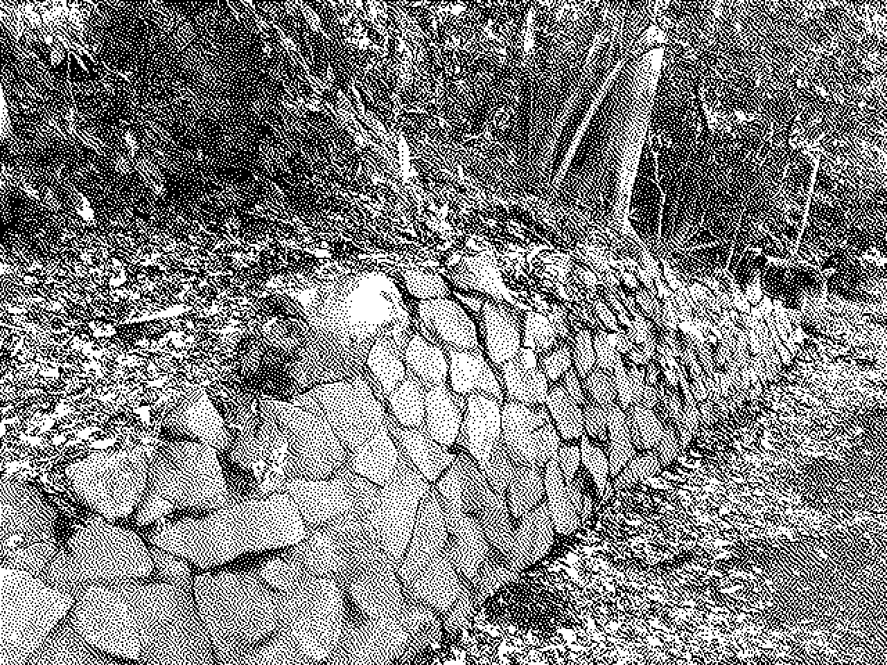 Rock wall in Inokashira