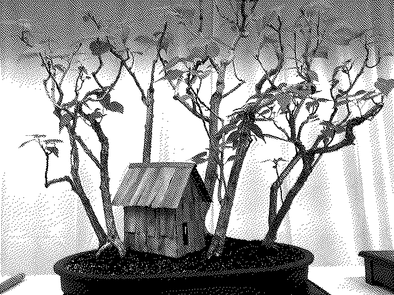 Bonsai forest with small wooden hut